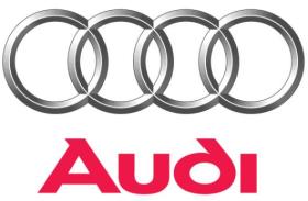 Audi 8W0133843B - FILTRO AIRE VW
