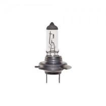Amolux 775 - LAMP.H7 24/70W